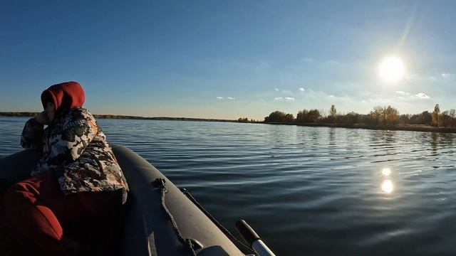 Выезд выходного дня. Октябрь 2024г смотреть онлайн