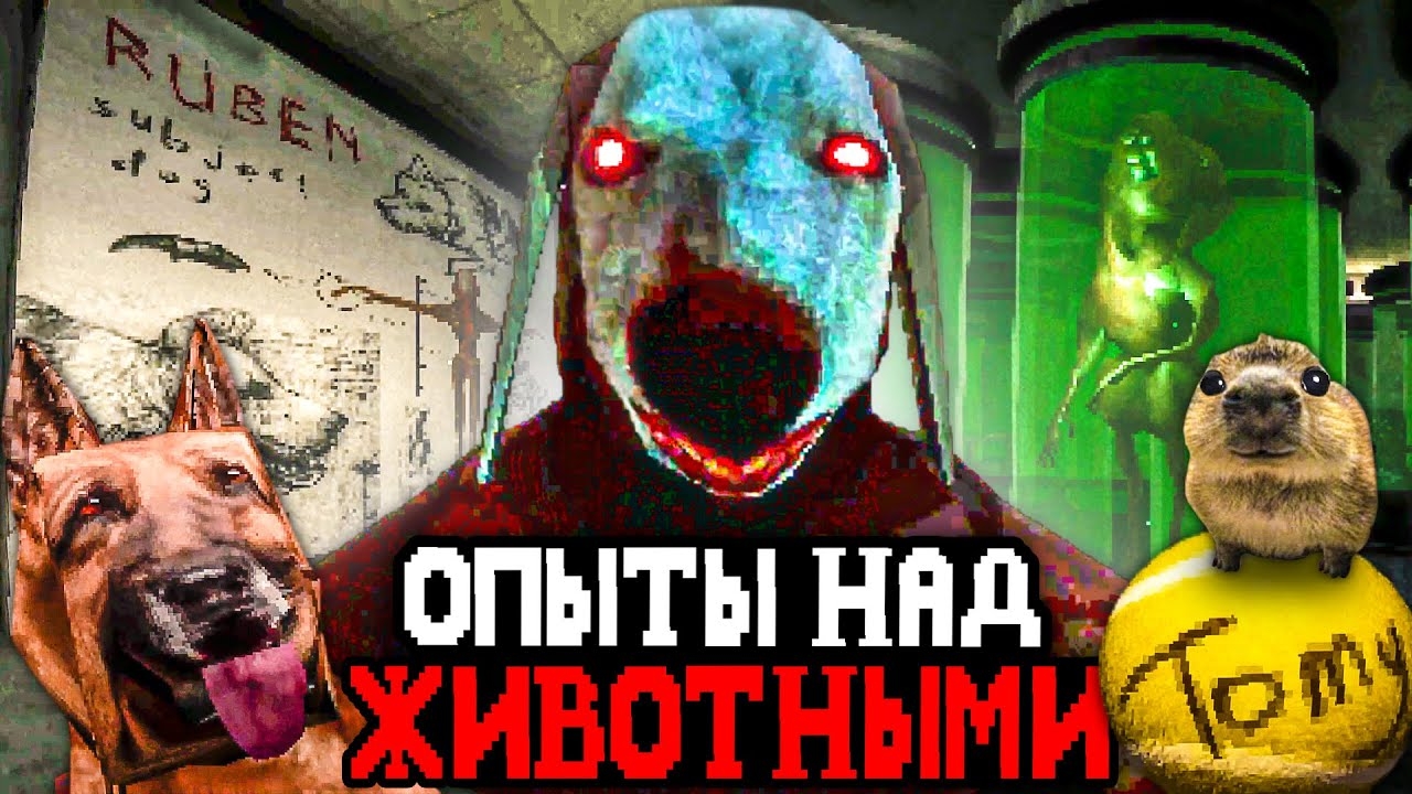 В ЭТОЙ КЛИНИКЕ ПРОВОДЯТ ОПЫТЫ НАД ЖИВОТНЫМИ И ЛЮДЬМИ 🐕 - Canine смотреть онлайн