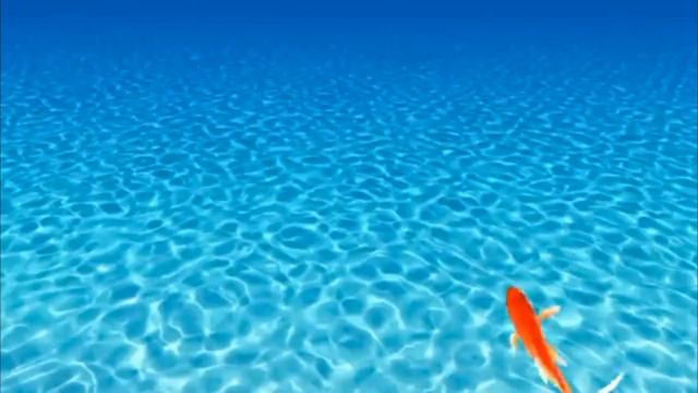 видео для котиков 🤯 //рыбки\\