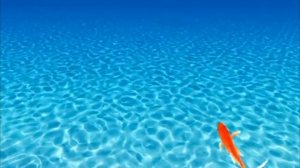 видео для котиков 🤯 //рыбки\\