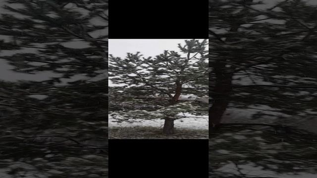 Погода в Москве сегодня 😒 смотреть онлайн