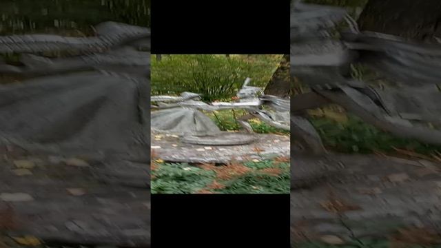 Парк Скульптур Сыктывкар.  Сентябрь 2024