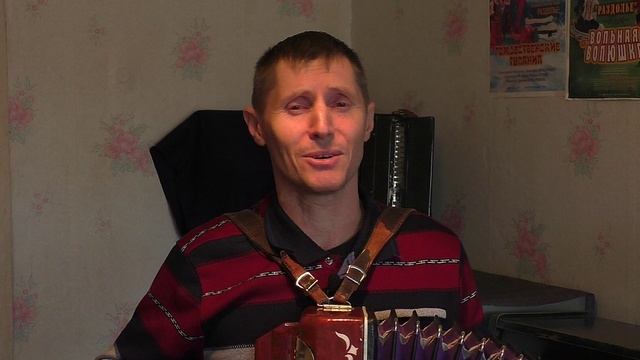 "Ромашка белая" - играет и поёт Алексей Лысак (гармонь, вокал)