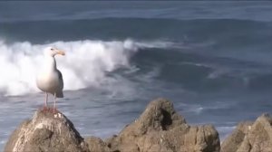 Прибой. Музыка Сергея Чекалина. Surf. Music By Sergei Chekalin.