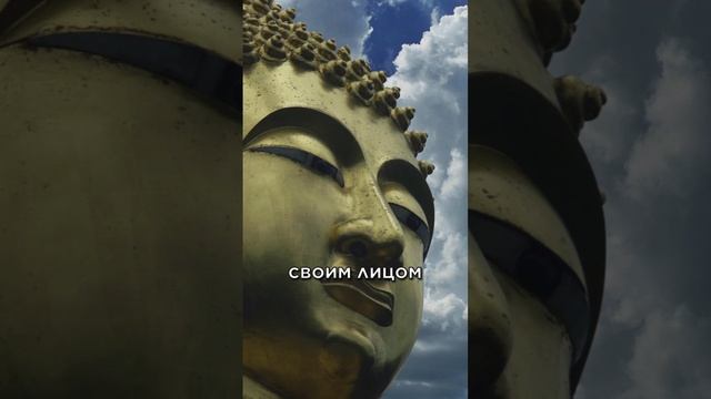 Путь Будды к богатству - ПРИТЧА о щедрости смотреть онлайн