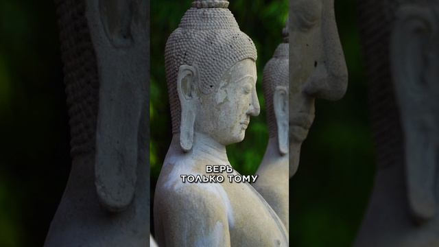 Ключ к твоему счастью – Осознанность смотреть онлайн