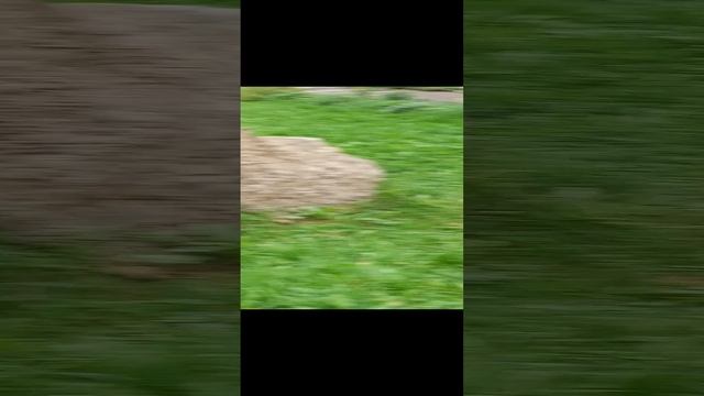 Парк Скульптур Сыктывкар.  Сентябрь 2024