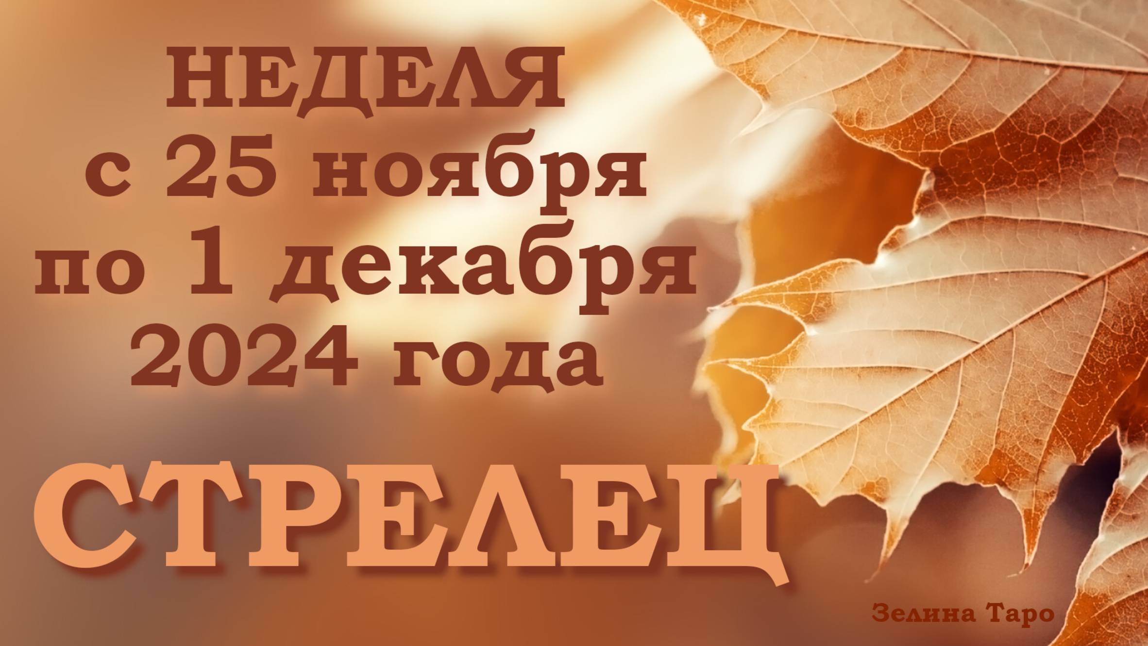 СТРЕЛЕЦ | Таро прогноз на неделю с 25 ноября по 1 декабря 2024 года