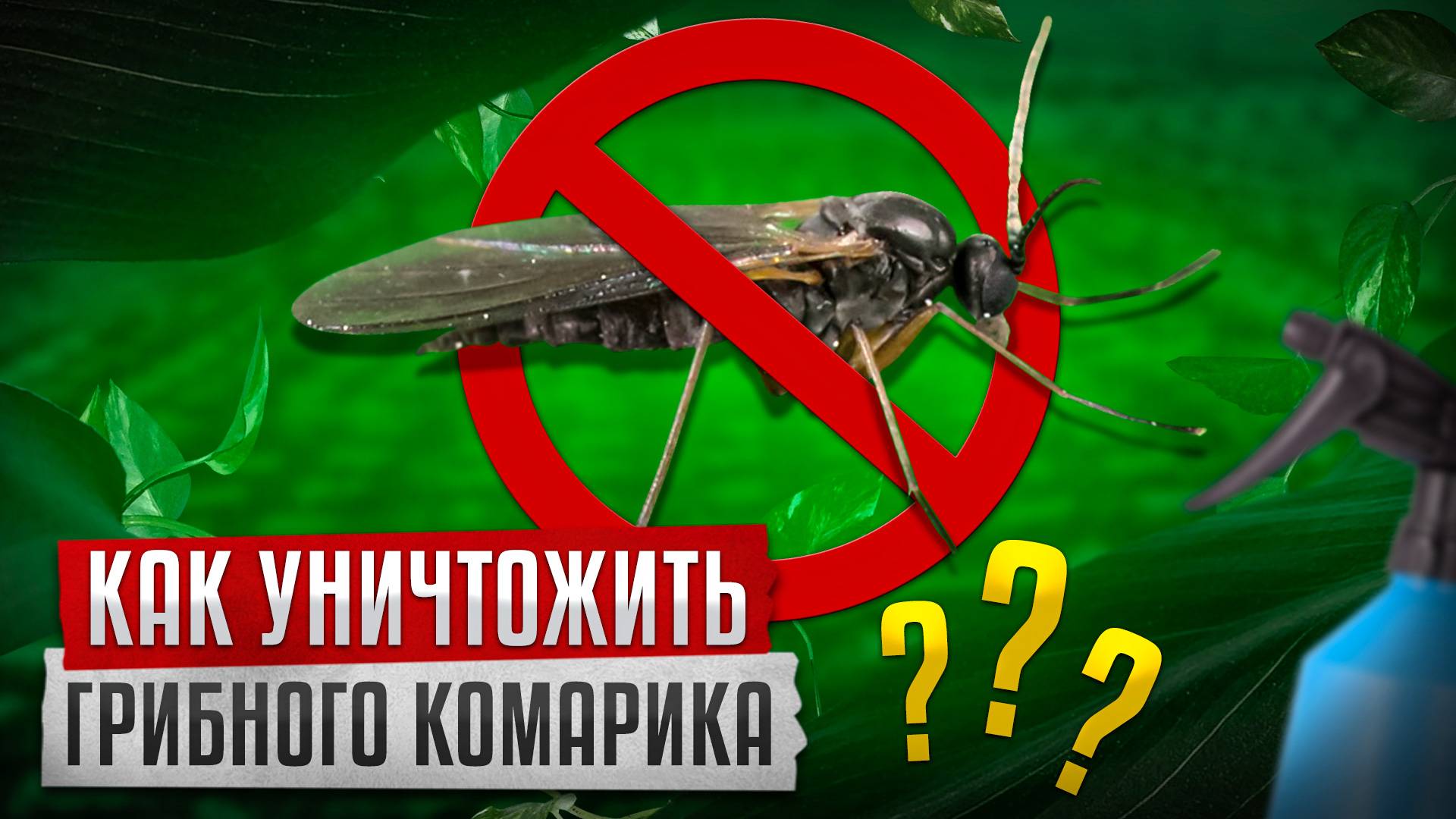 ГРИБНОЙ КОМАРИК.ОН ОЧЕНЬ ОПАСЕН ДЛЯ МОЛОДОЙ РАССАДЫ!!! смотреть онлайн