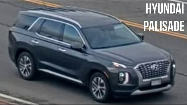 Hyundai Palisade смотреть онлайн