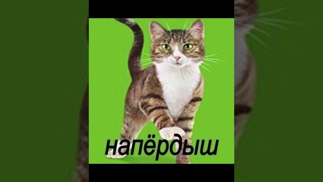 НАПЁРДЫШ