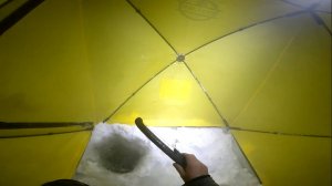 Прямой контакт на рыбалке. Налим на стук. 21.11.2024