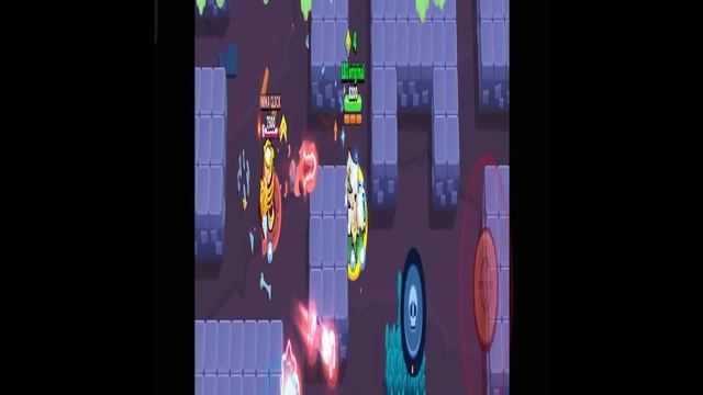 как много крыс в шд