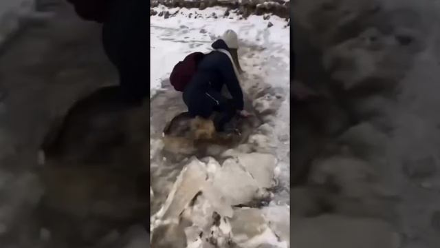 Чё там подо льдом???😉😂😂 смотреть онлайн