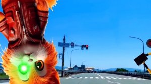 Страшные светофоры 30