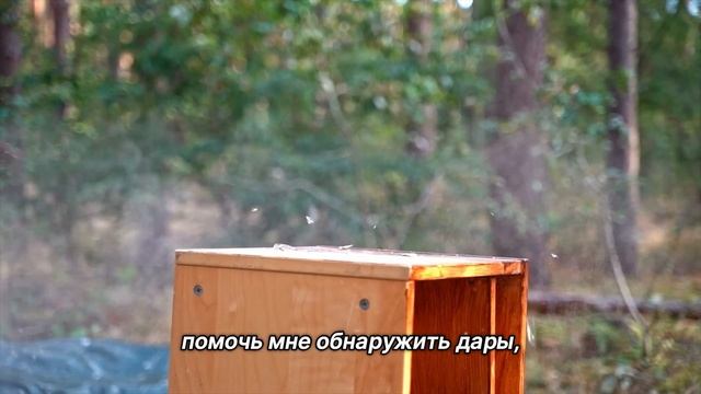 "Отношения". 30 ноября. Мужество меняться. Ежедневник для созависимых. смотреть онлайн