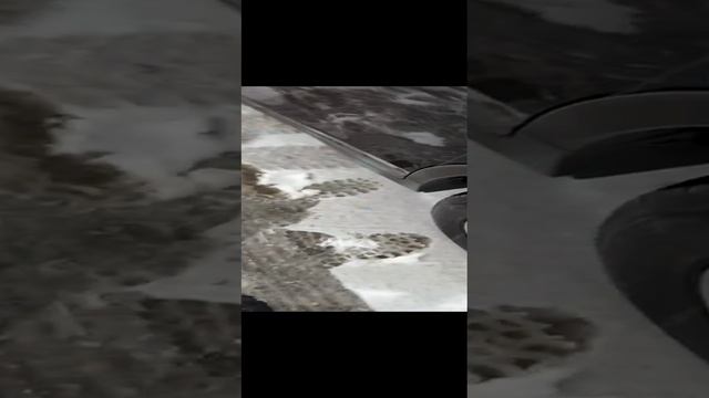 Nissan X-trail 2015 г. 2.0 замер ЛКП смотреть онлайн