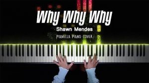Shawn Mendes - Why Why Why - Piano Cover by Pianella Piano