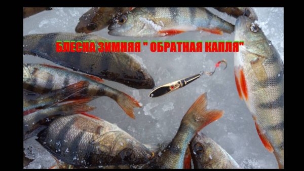 Блесна зимняя на окуня и судака " ОБРАТНАЯ КАПЛЯ"