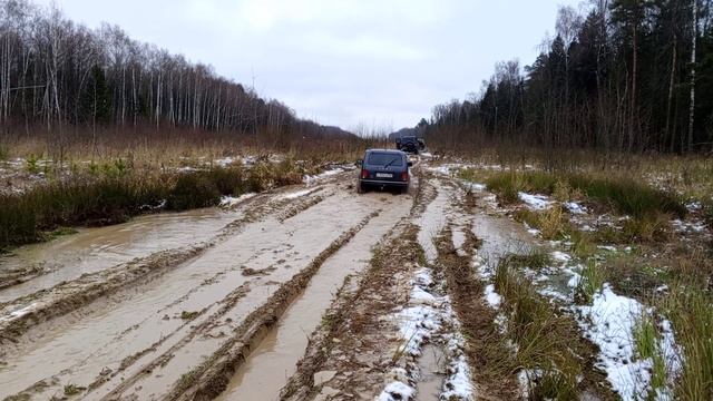 VID_20241116_105625 смотреть онлайн