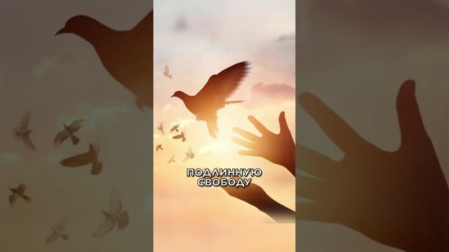 Ключ к твоему счастью – Ответственность смотреть онлайн