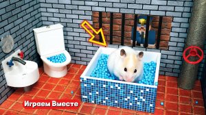 ХОМЯК ВЫБИРАЕТСЯ ИЗ СЕКРЕТНОЙ ХОМЯЧЕЙ ТЮРЬМЫ  🐹 Играем ВМЕСТЕ ! Помогаем выбраться из лабиринта !