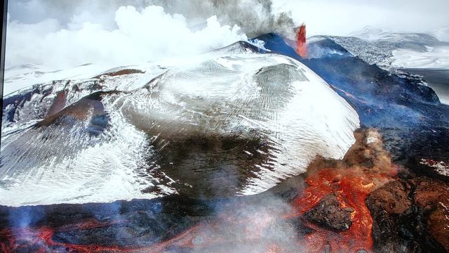 Золотая черепаха  ноябрь 2024