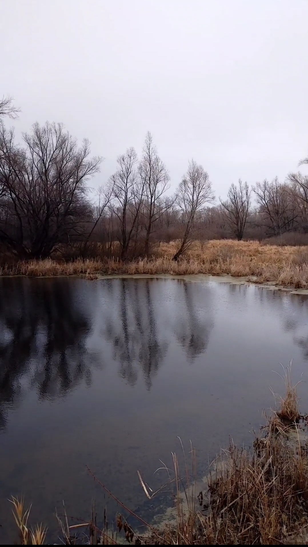 Стишок-пасмурный денек смотреть онлайн