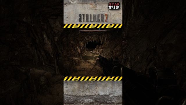 ОН ЕЩЕ УЧИТСЯ. Безобидный КРОВОСОС в Сталкере 2! смотреть онлайн