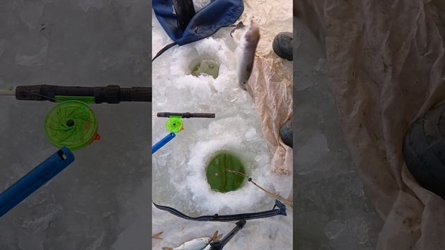 Ловля Чебака Зимой. смотреть онлайн