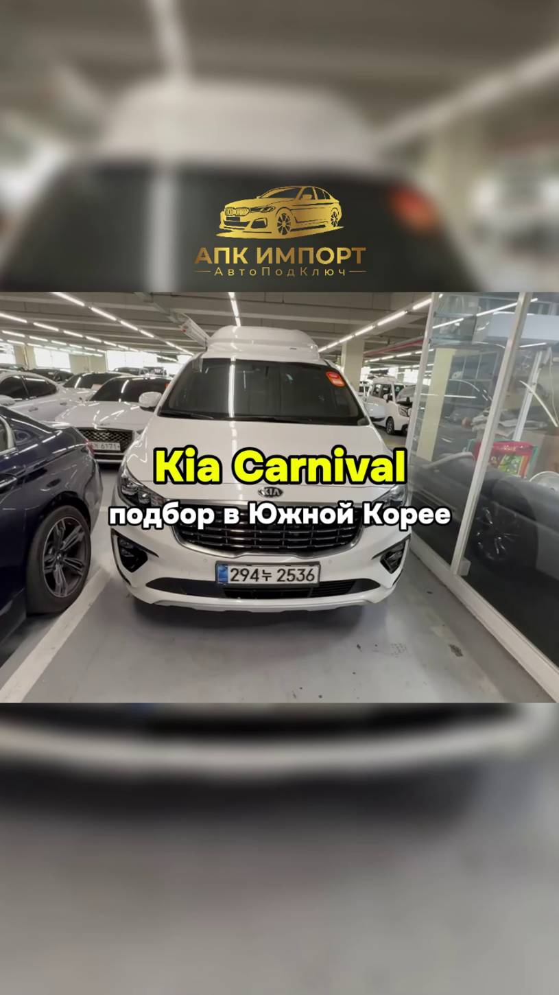 Kia Carnival за 3.586.000 под ключ до Москвы. Пробег: 31.500 км. Отличный семейный автомобиль! смотреть онлайн