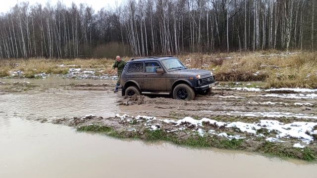 VID_20241116_123604 смотреть онлайн