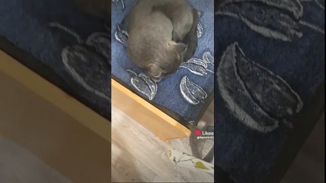 удобно ль тебе? смотреть онлайн