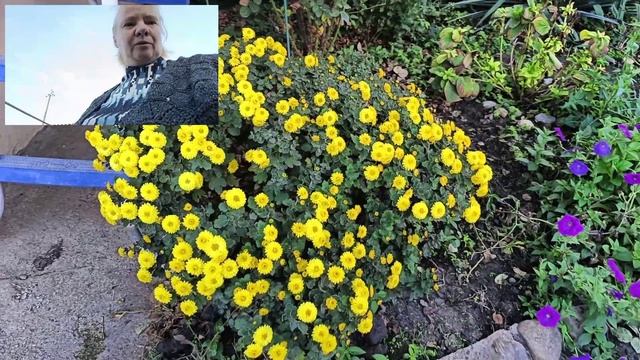 Ухаживаем за хозяйством🐤🌹🏡Пришла непогода💧Привет из Тайланда😘💃🧡 смотреть онлайн