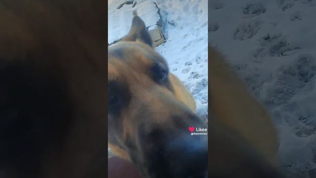 Так проходит день смотреть онлайн