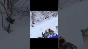 Катались, никого не трогали