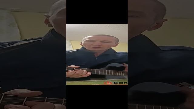 Песенка Крокодила Гены Голубой Вагон смотреть онлайн