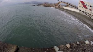 Рыбалка в Сочи, ноябрь кефаль