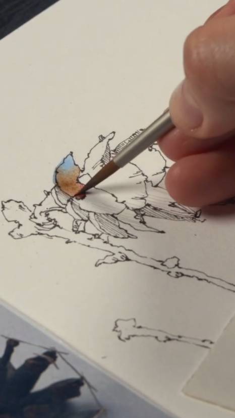 Рисуем акварелью шишки с Леной Крыминой в студии Энтеркласс в прямом эфире. Присоединяйтесь! смотреть онлайн