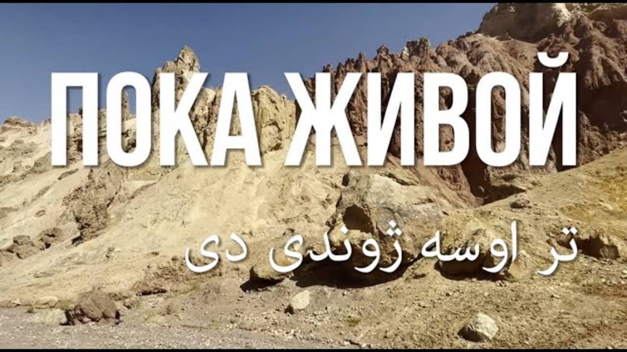 Пока живой | Павел Кобяк смотреть онлайн