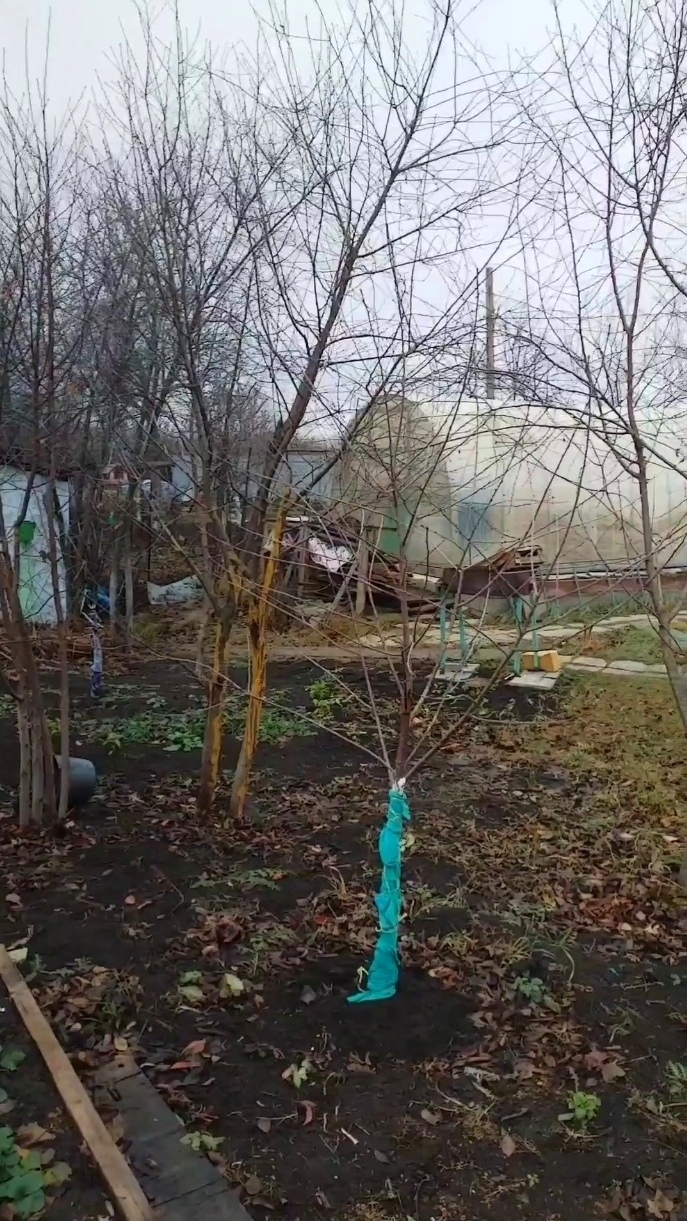 Стишок-философии толк смотреть онлайн