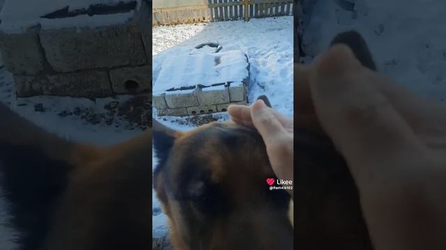 Асталависта смотреть онлайн