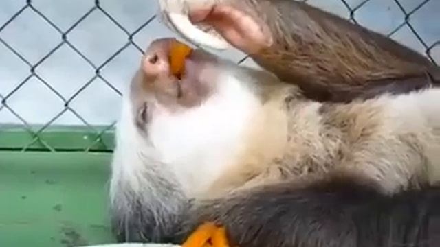 Коротко о моих планах на выходные ☝️✌️😉😂😂😂 смотреть онлайн
