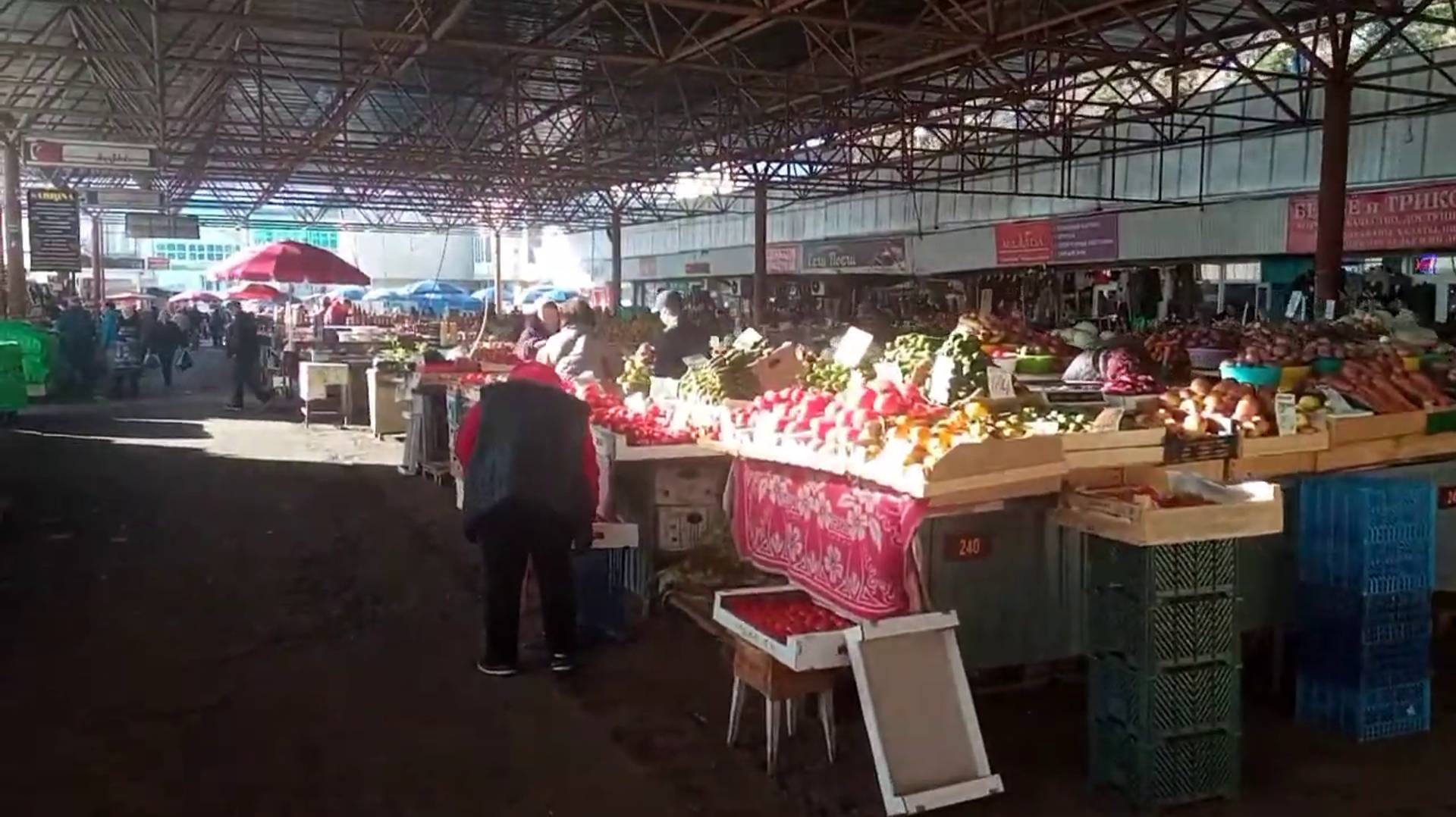 Прямой эфир из Кисловодска. В летний ноябрьский день. 23 ноября 2024 г. смотреть онлайн