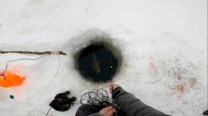 Рыбалка у чёрной дыры. Ловля налима. Двадцать седьмая серия.