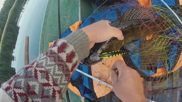 Троллинг  для начинающих, по селигерски -рыбалка для ленивых .Но попотеть все равно пришлось.