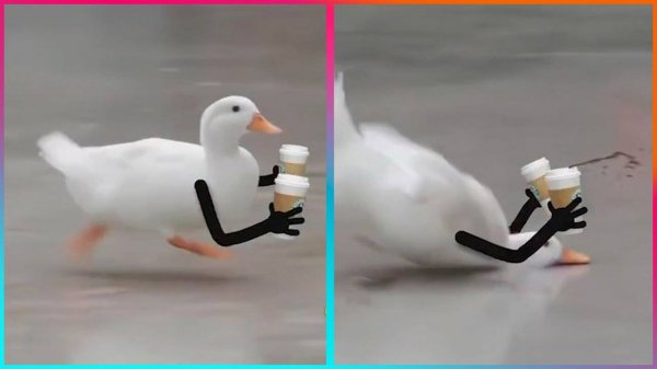 ЛУЧШИЕ ПРИКОЛЫ 2024 СМЕШНОЕ ВИДЕО, ПОДБОРКА ПРИКОЛОВ, СМЕШНЫЕ ЖИВОТНЫЕ