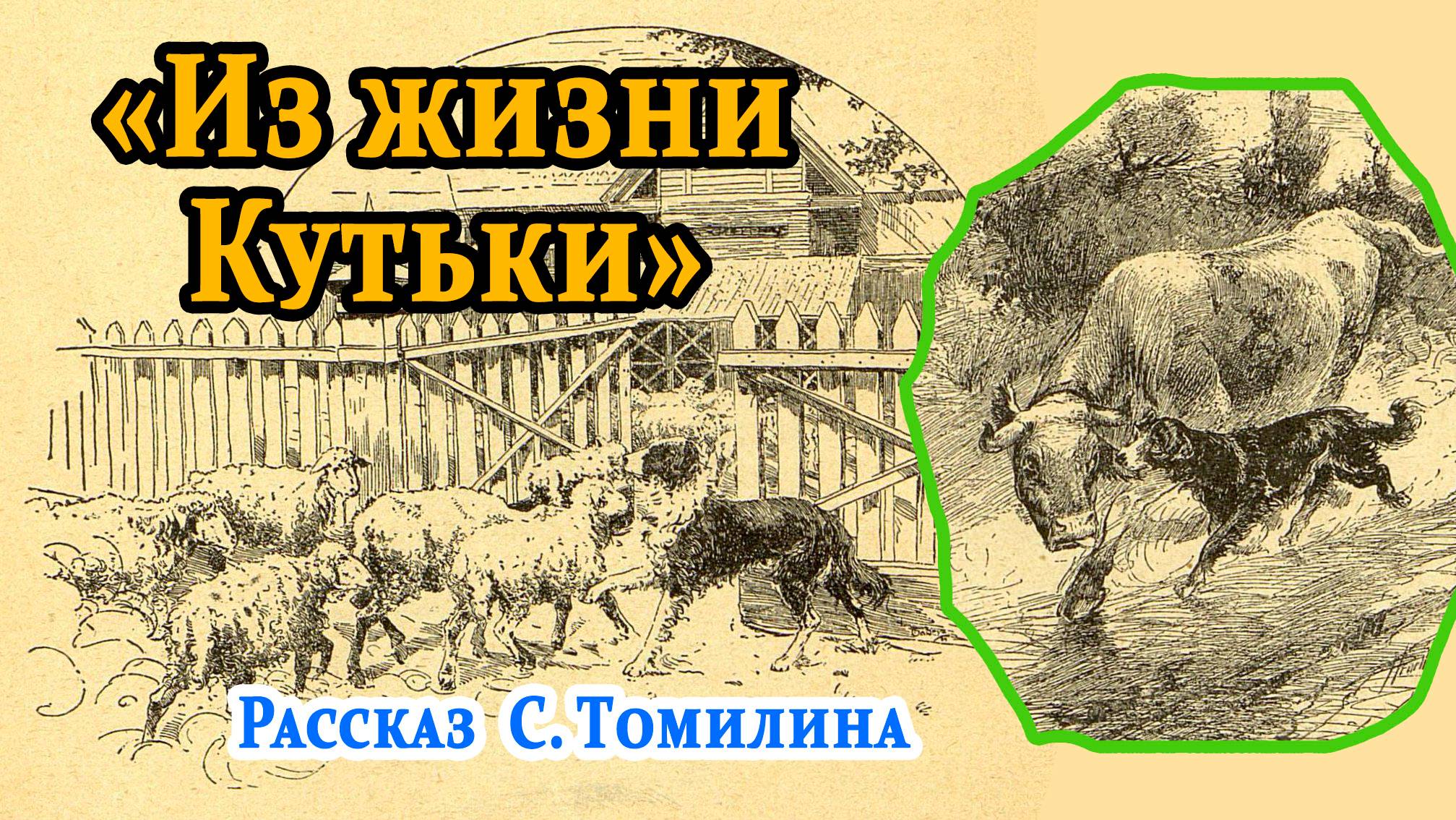 «Из жизни Кутьки». Рассказ. С. Томилин. смотреть онлайн