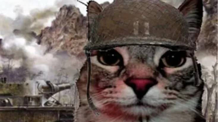 играю в Crossout