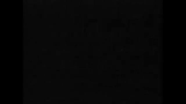 ПРОПАЖИ ДЕТЕЙ В ТАЁЖНОМ ЛЕСУ _ VHS ПО НОВЕЛЛЕ ЗАЙЧИК.mp4 смотреть онлайн